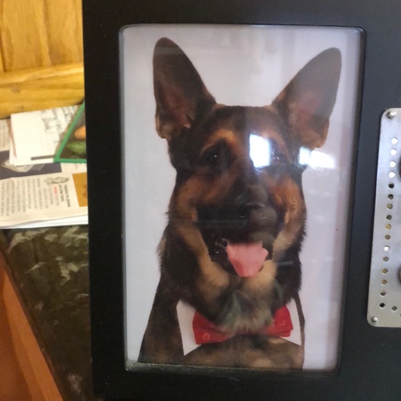 dogmotherdiane